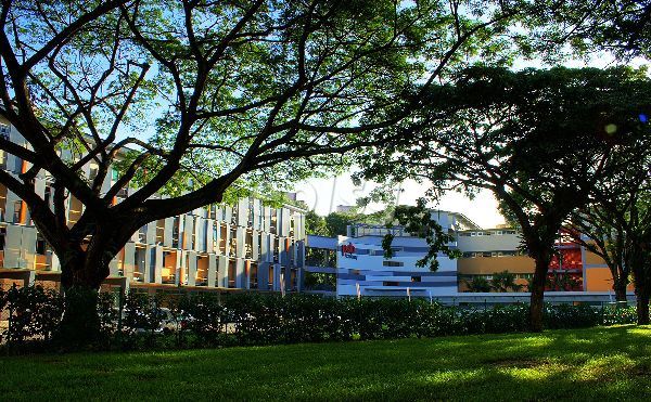 新加坡TMC学院:TMC商业管理学士课程介绍