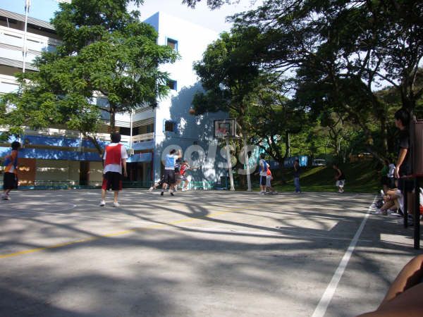 ����ɯ�ٹ���ѧԺAˮ׼����Ԥ���γ���Ҫ��Щ����