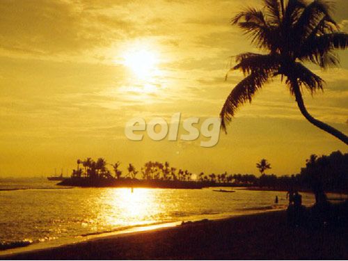 新加坡留学工作