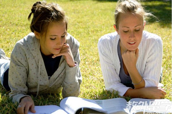 新加坡留学本科选择什么专业好