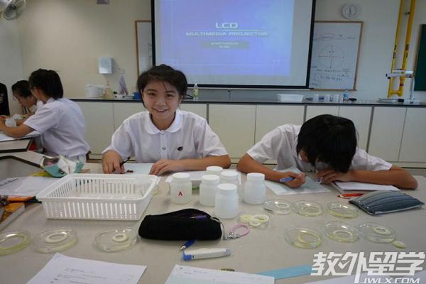 �¼�����ѧ����ѧ��ʲô����