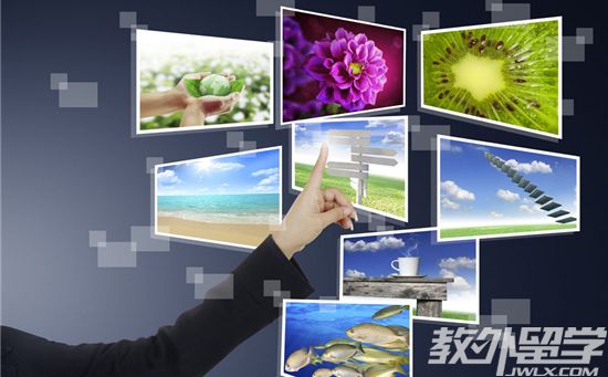 新加坡IT学本科专业