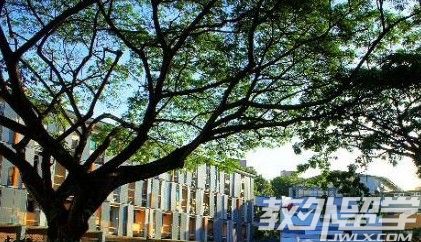 �¼��¾Ƶ����רҵҪѧ����