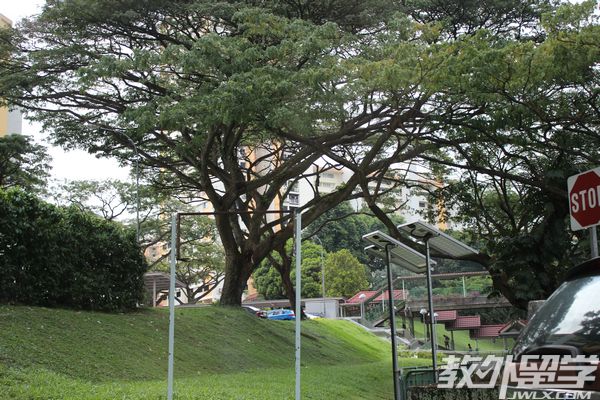 �¼�����Aˮ׼Ԥ�ƵĴ�ѧ